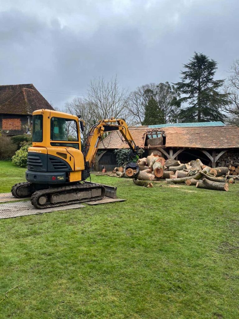 This is a photo of a tree which has grown through the roof of a barn that is being cut down and removed. There is a digger that is removing sections of the tree as well. Rothwell Tree Surgeons