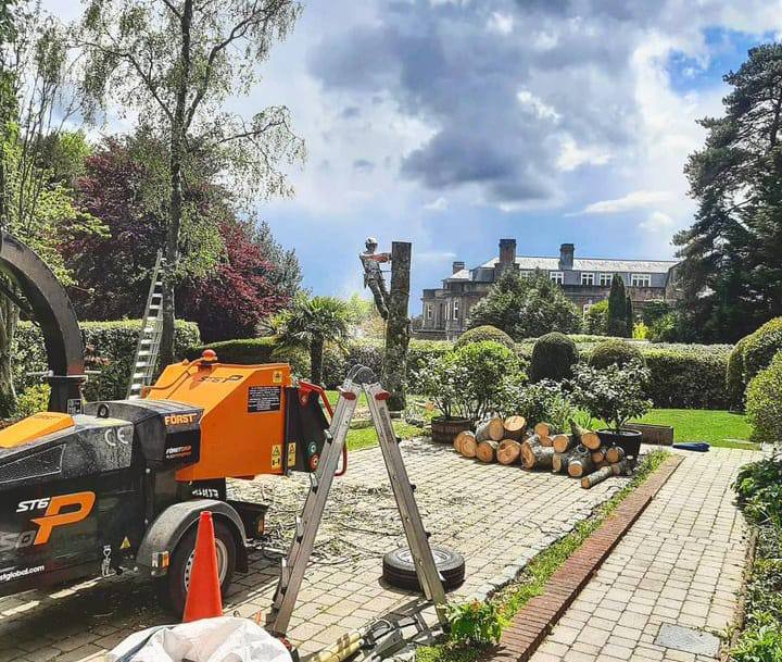 This is a photo of a tree being felled. A tree surgeon is currently removing the last section, the logs are stacked in a pile. Rothwell Tree Surgeons