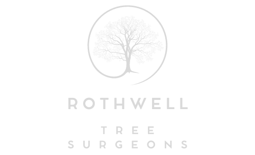 Rothwell Tree Surgeons